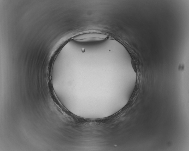 X0000114390244200911131349