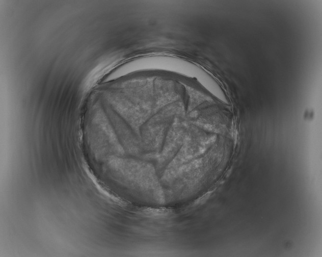 X0000114390245200911131349