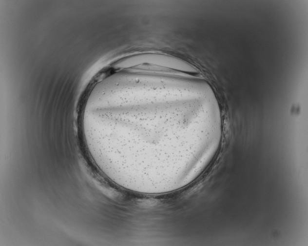 X0000114390246200911131349