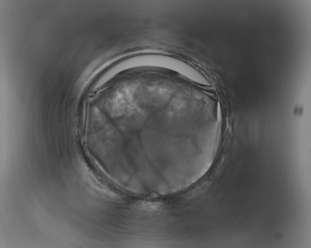 X0000114390247200911131349