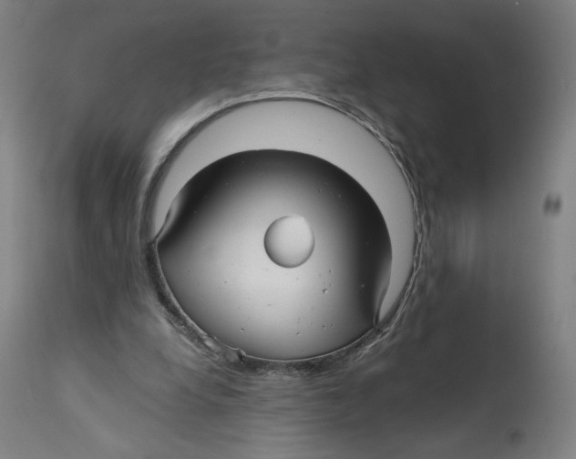 X0000114390248200911131349