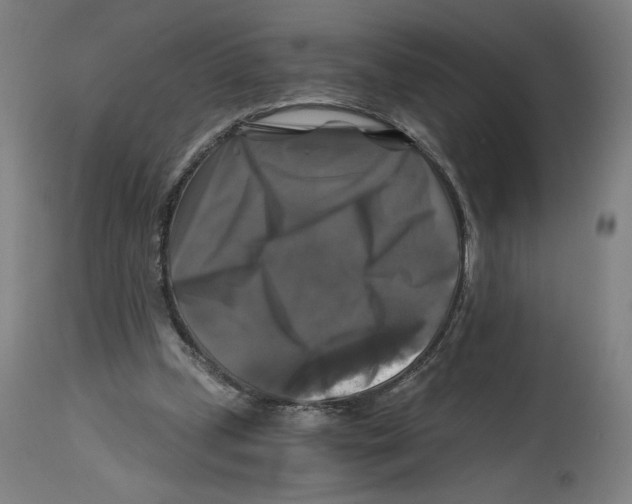 X0000114390249200911131349