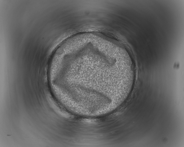 X0000114390250200911131349