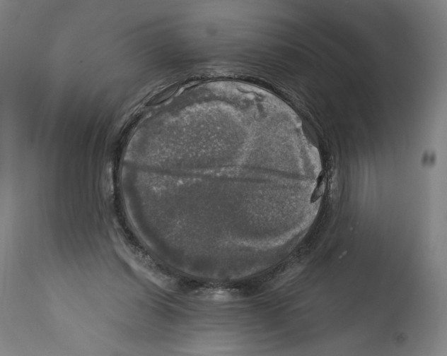 X0000114390254200911131349