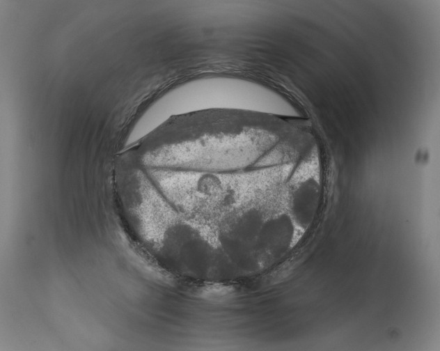 X0000114390257200911131349