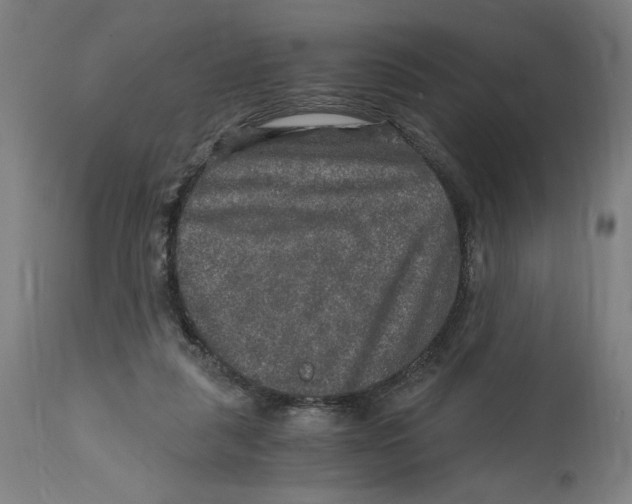 X0000114390259200911131349