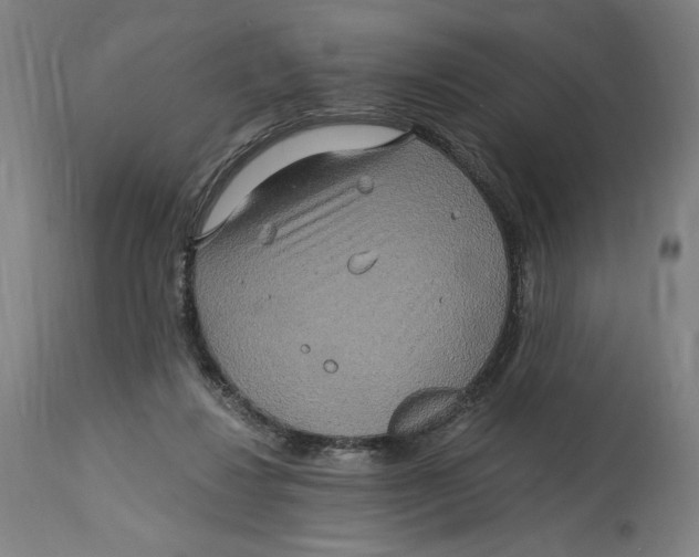 X0000114390260200911131349