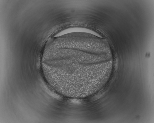 X0000114390261200911131349