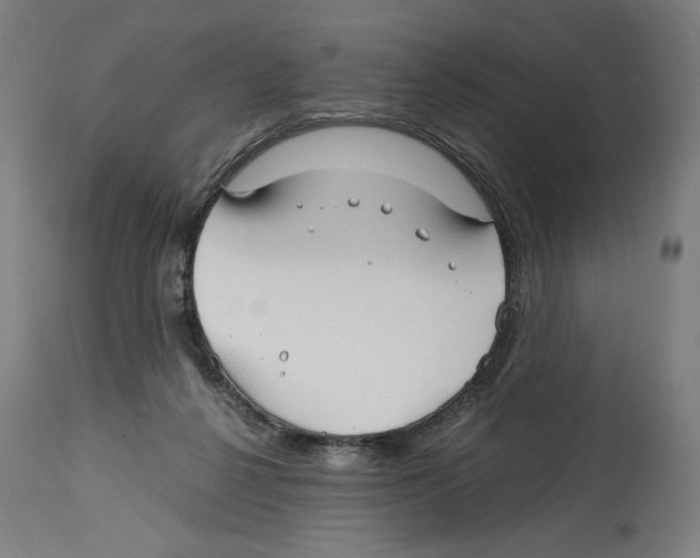 X0000114390264200911131349