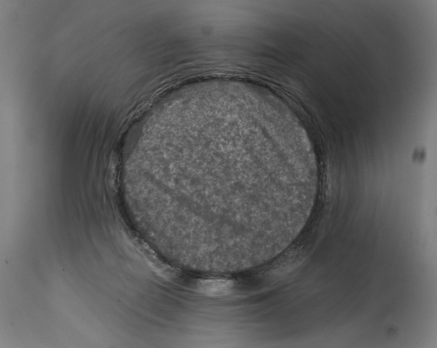 X0000114390266200911131349