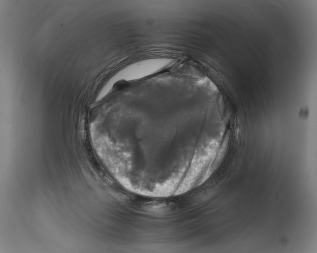 X0000114390267200911131349