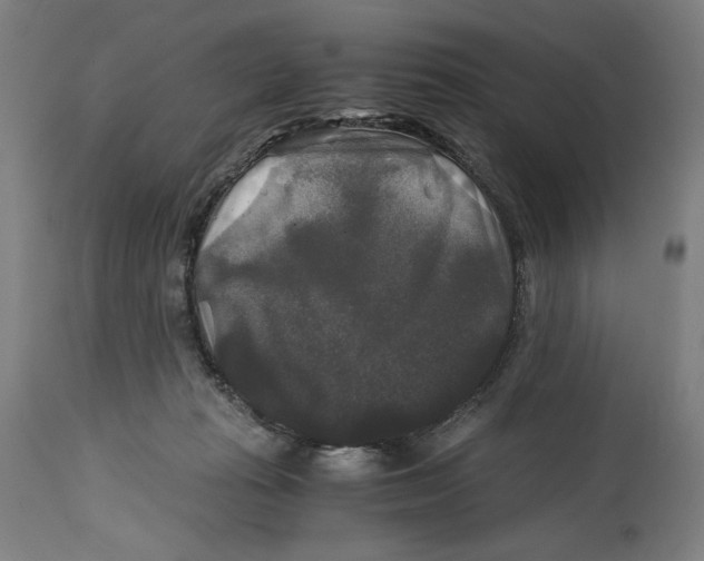 X0000114390269200911131349