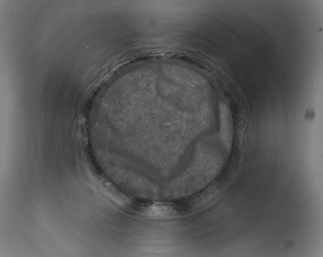 X0000114390270200911131349