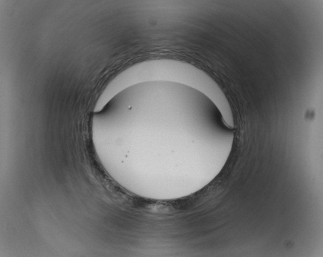 X0000114390272200911131349