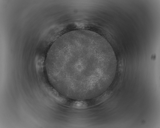 X0000114390275200911131349