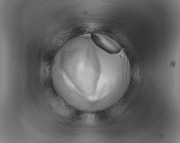 X0000114390276200911131349