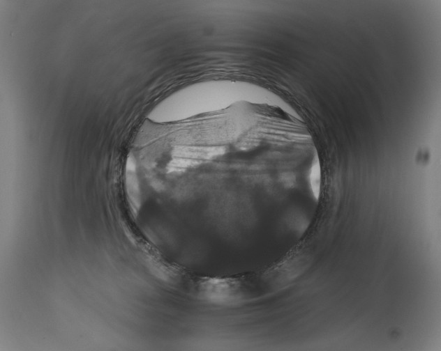 X0000114390277200911131349