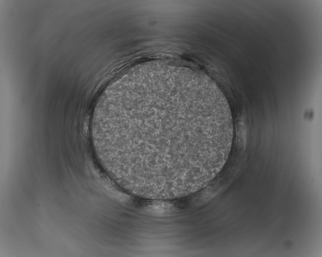 X0000114390278200911131350