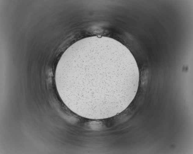 X0000114390279200911131350