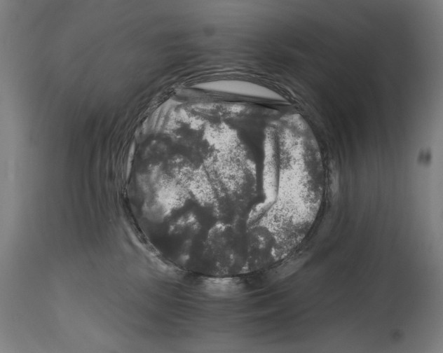 X0000114390281200911131350