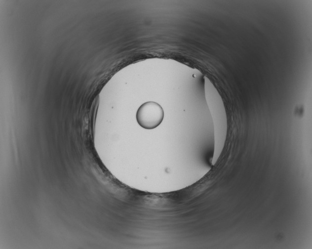 X0000114390284200911131350