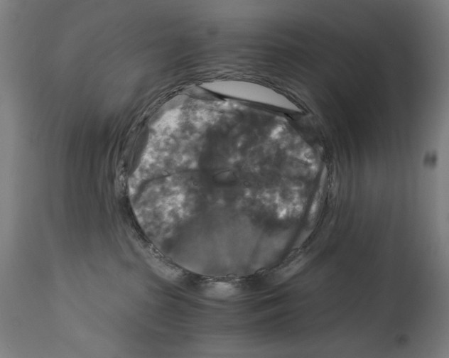 X0000114390285200911131350