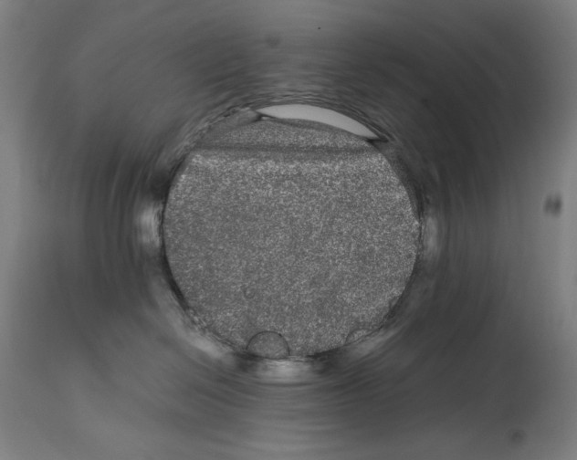 X0000114390286200911131350