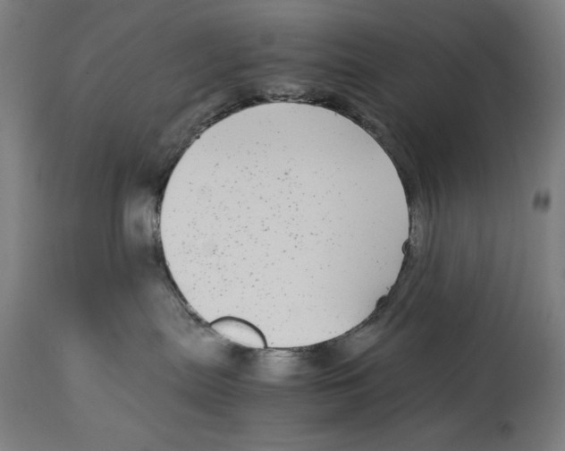 X0000114390287200911131350