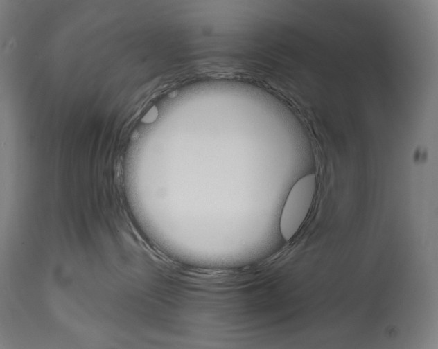 X0000114390288200911131350