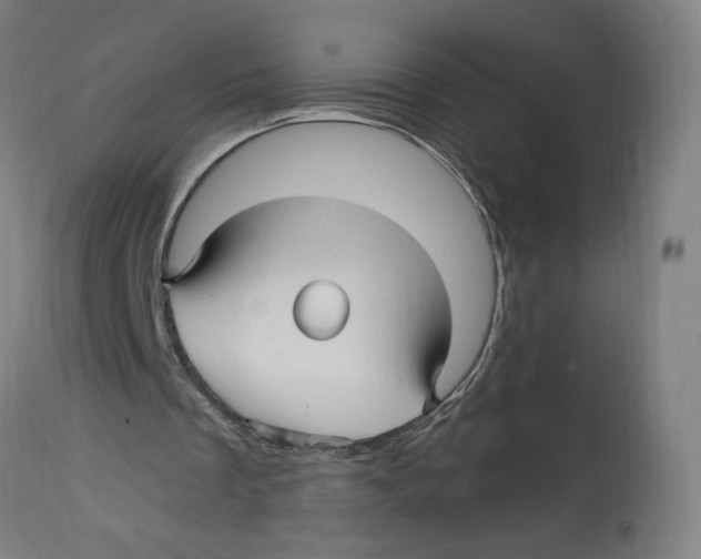 X0000114390289200911131349