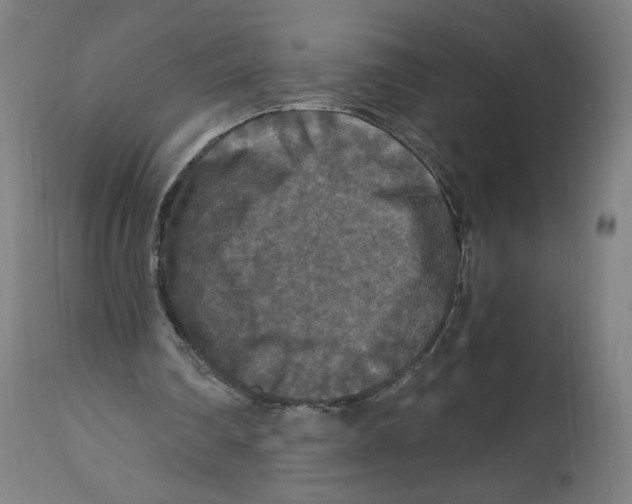 X0000114390290200911131349