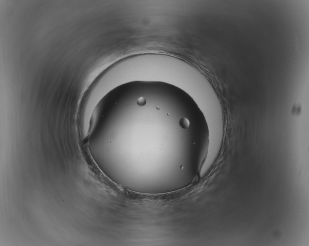 X0000114390292200911131349