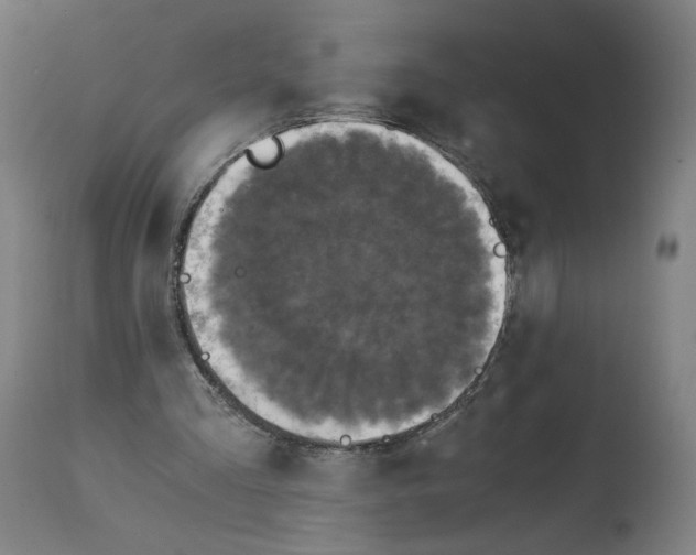 X0000114390293200911131349