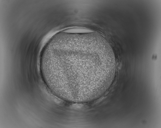 X0000114390294200911131349