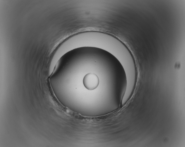 X0000114390297200911131349