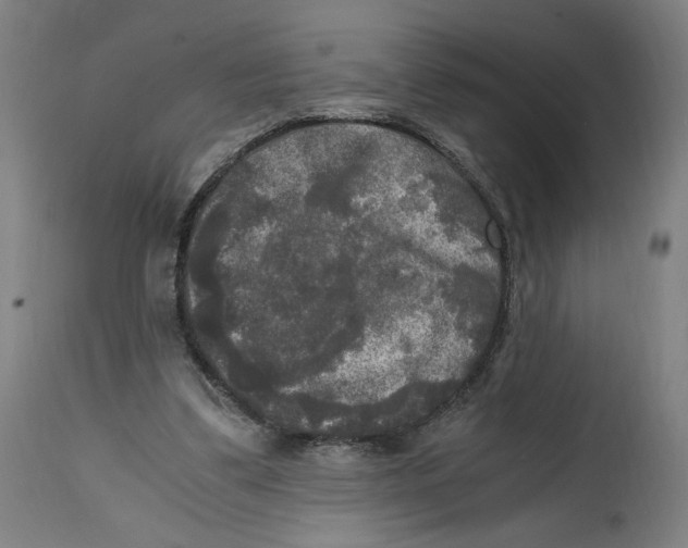 X0000114390299200911131349