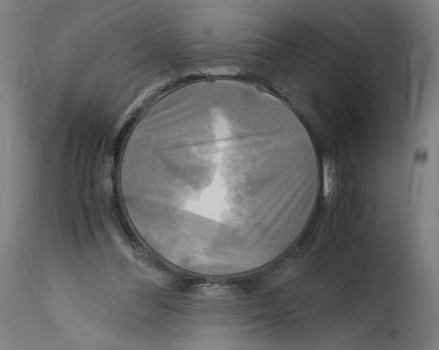 X0000114390300200911131349