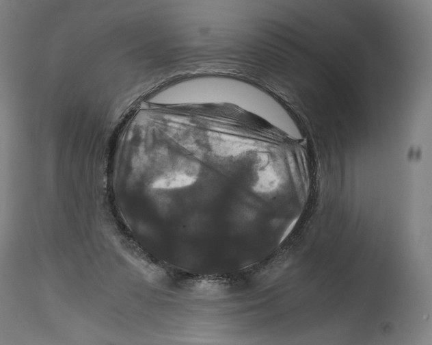 X0000114390303200911131349