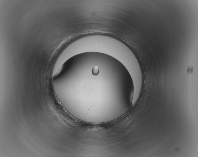 X0000114390304200911131349