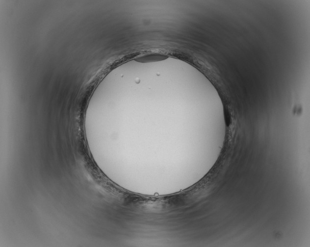 X0000114390306200911131349