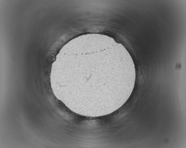 X0000114390307200911131349