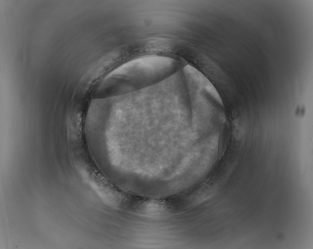 X0000114390308200911131349