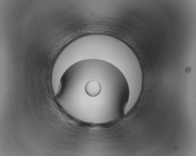 X0000114390309200911131349