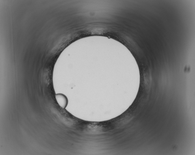 X0000114390311200911131349