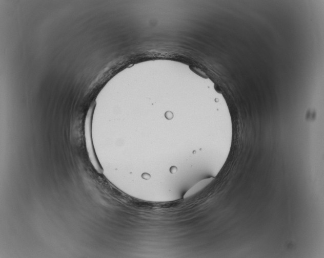 X0000114390312200911131348