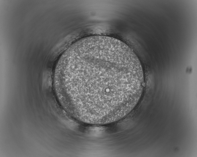 X0000114390313200911131348