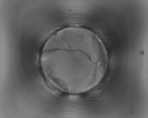 X0000114390314200911131348