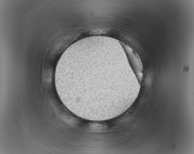 X0000114390315200911131348