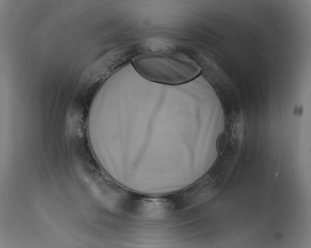 X0000114390316200911131348