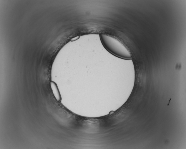 X0000114390317200911131348